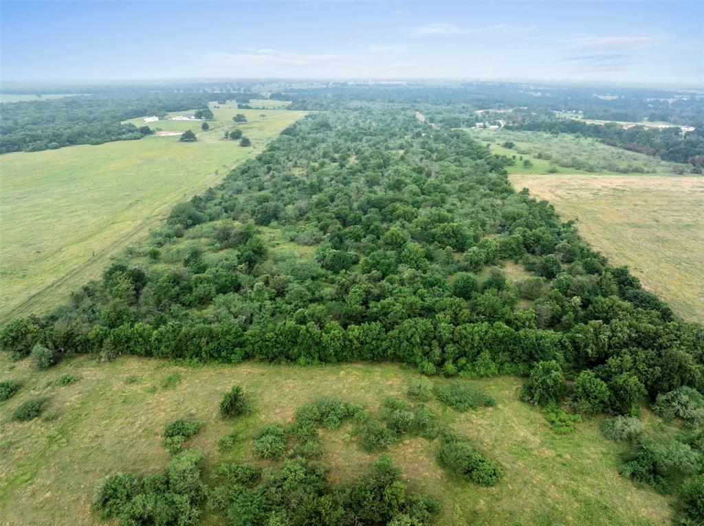 000 Cr 407 Road, Lexington, Texas image 2