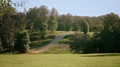 299 Hornet Nest Road Livingston TX 77351