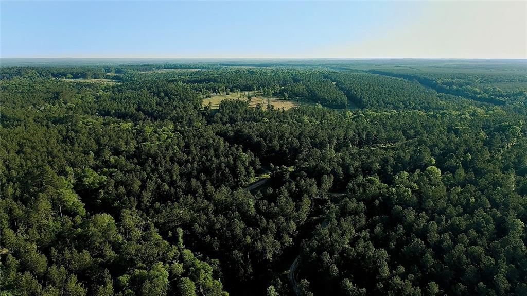 299 Hornet Nest Road