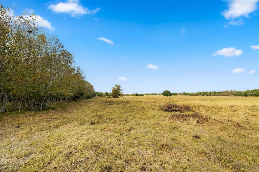 TBD S Weyand Road, Round Top, Texas image 11