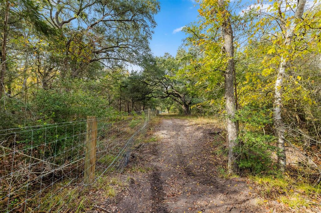 TBD S Weyand Road, Round Top, Texas image 9