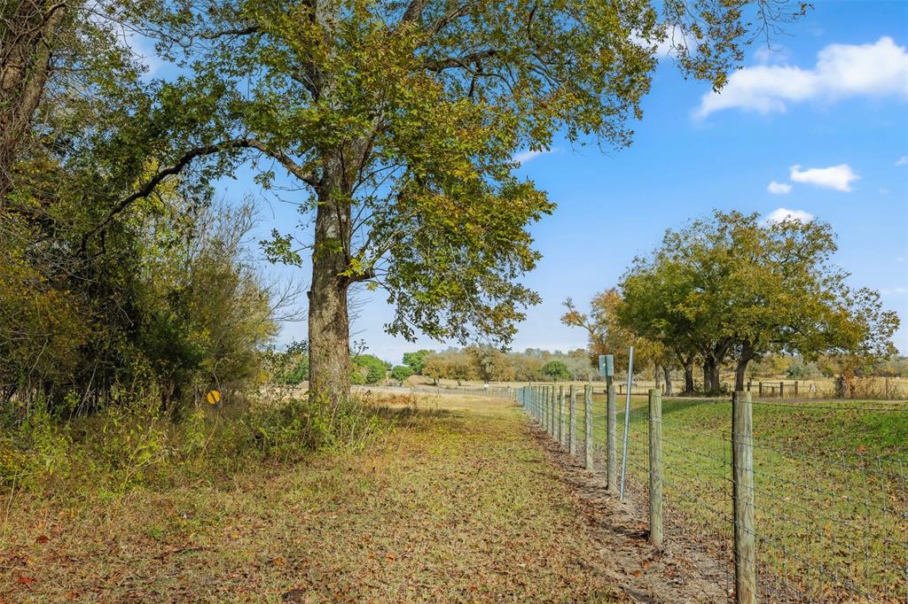 TBD S Weyand Road, Round Top, Texas image 10