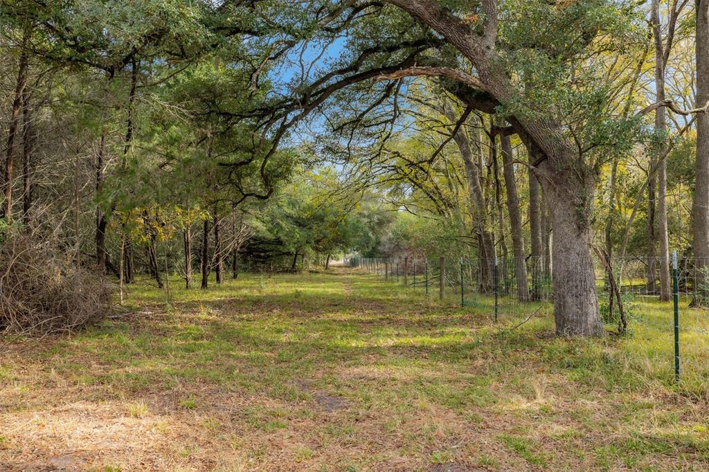 TBD S Weyand Road, Round Top, Texas image 2