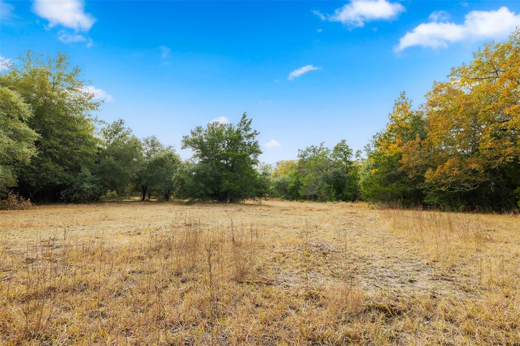 TBD S Weyand Road, Round Top, Texas image 7