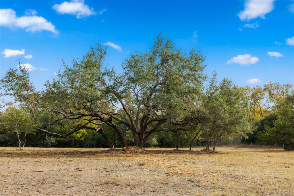 TBD S Weyand Road, Round Top, Texas image 1