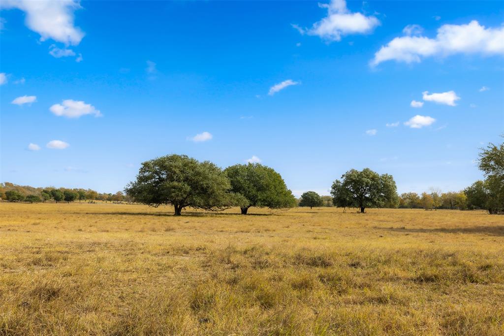 TBD S Weyand Road, Round Top, Texas image 3