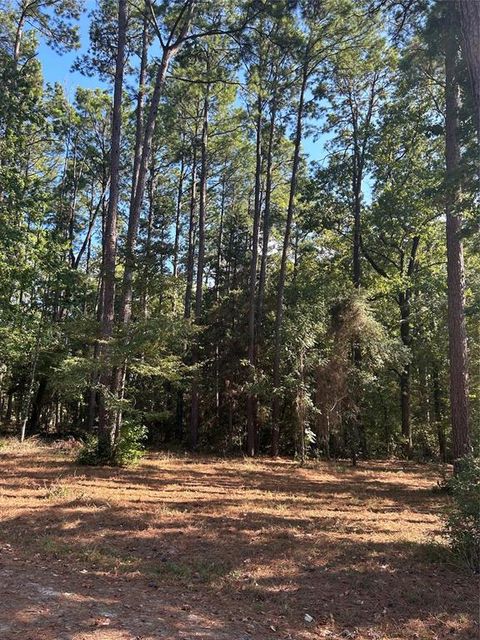 Vacant Land For Sale - TR 12 Grand Pine Loop<br/> Livingston, TX 77351