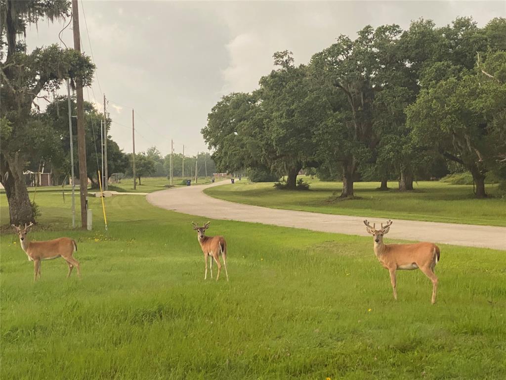 1425 Bronco Trail, Angleton, Texas image 9