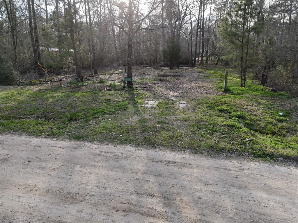195 Lakecrest, Livingston, Texas image 4