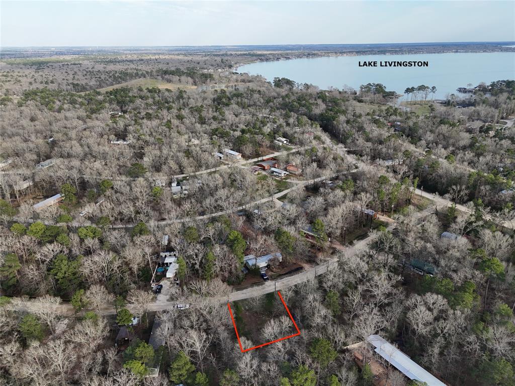 195 Lakecrest, Livingston, Texas image 8