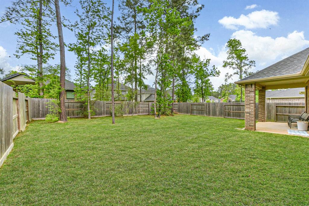 123 Buttonwood Court, Conroe, Texas image 35