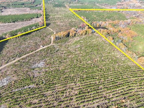 Vacant Land For Sale - Cr 3201<br/> Morris County, Daingerfield, TX 75638
