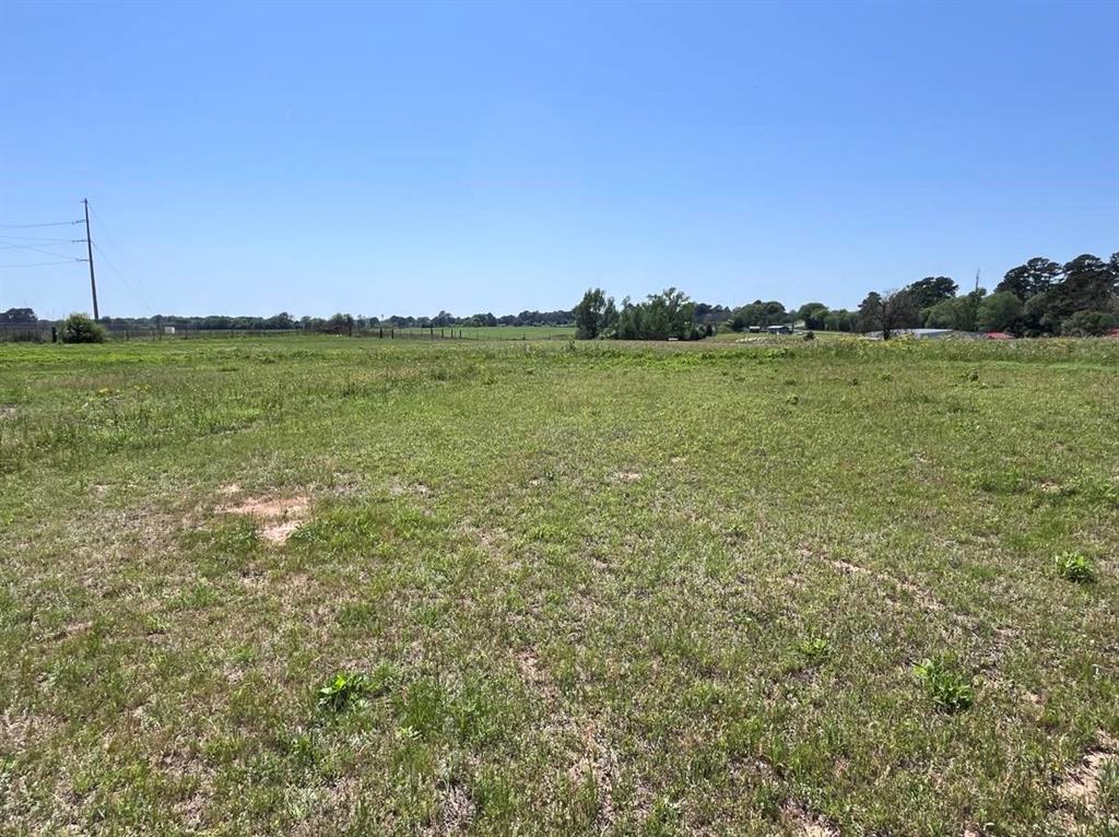 541 County Road 1855, Grapeland, Texas image 24