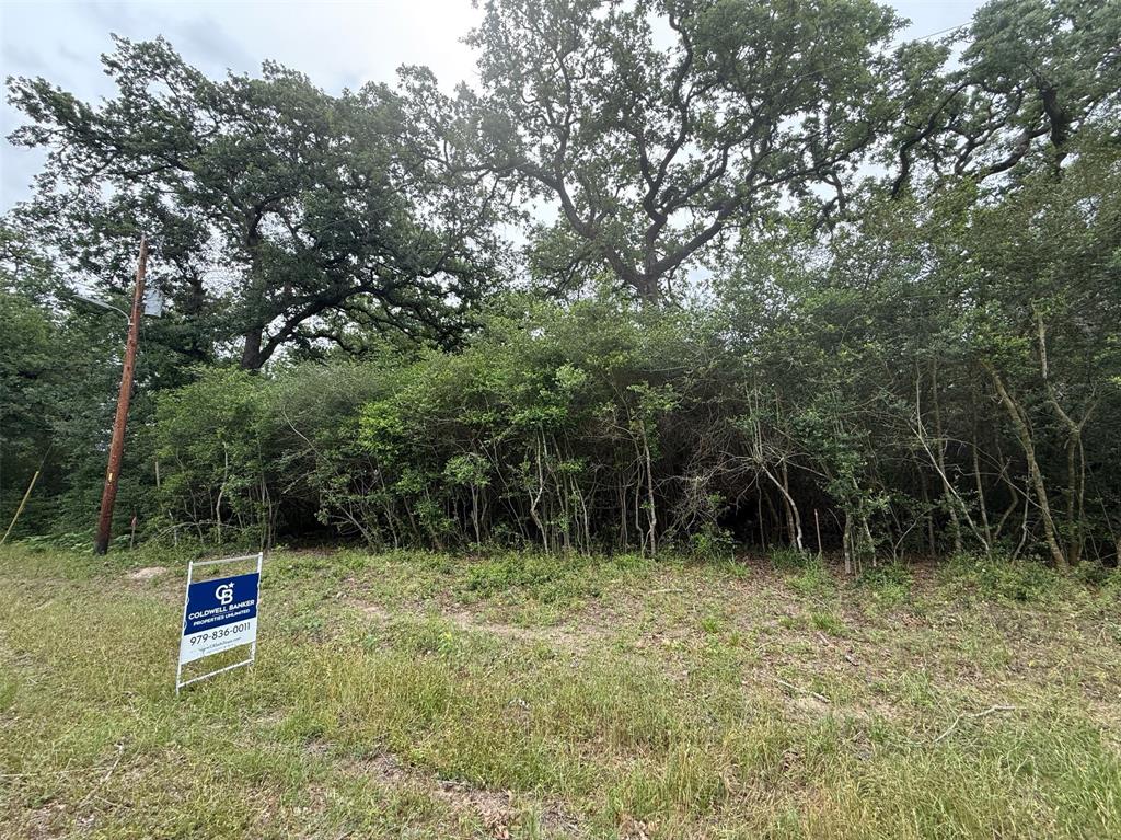 107A Live Oak Lane, Somerville, Texas image 4