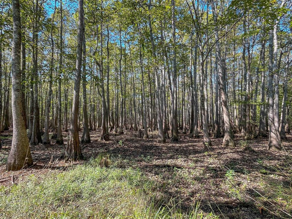 0000 Hickman Rd, Burkeville, Texas image 8