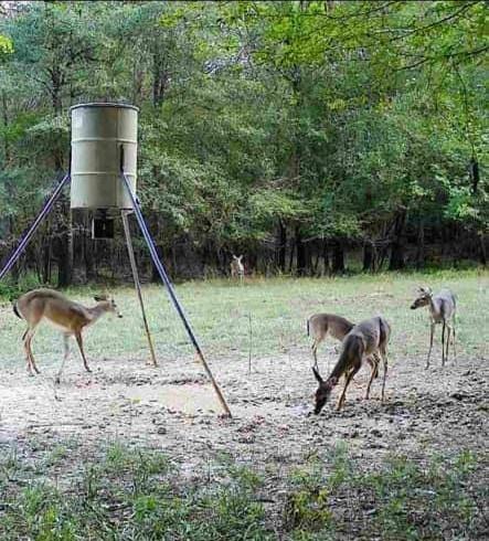 0000 Hickman Rd, Burkeville, Texas image 43