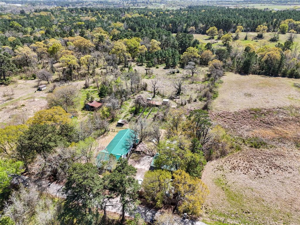 277 Jenkins Road, Huntsville, Texas image 26