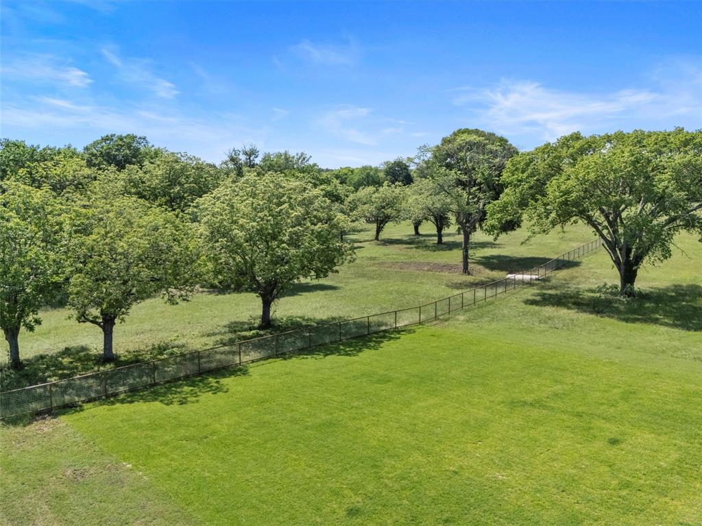 Lot 4 Moonlight Drive, Smithville, Texas image 7