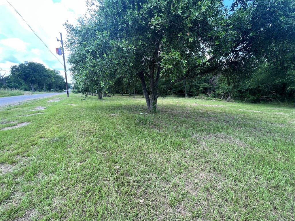 1130 S Robb Street, Trinity, Texas image 7