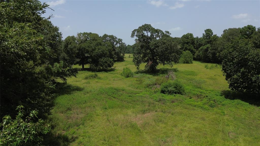 0000 Bailey Grove
