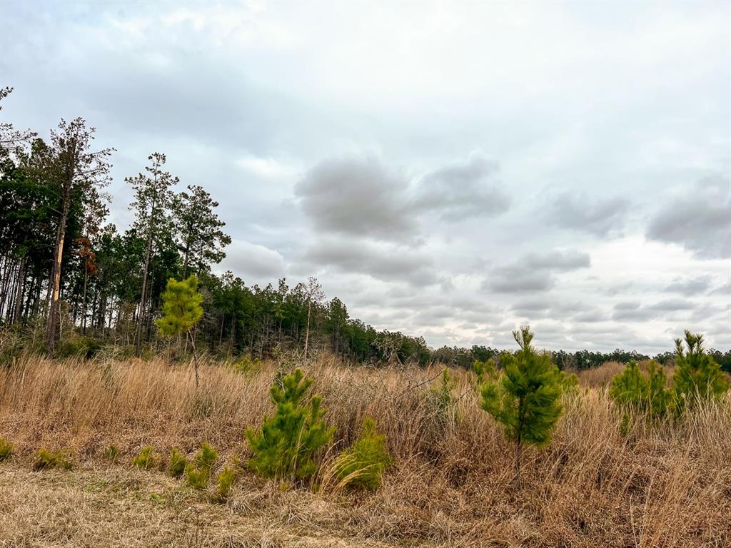 00 Hardin Hideout Rd, Moscow, Texas image 10