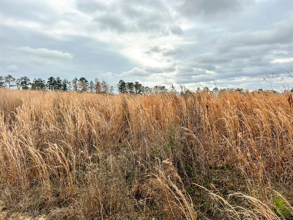 00 Hardin Hideout Rd, Moscow, Texas image 9