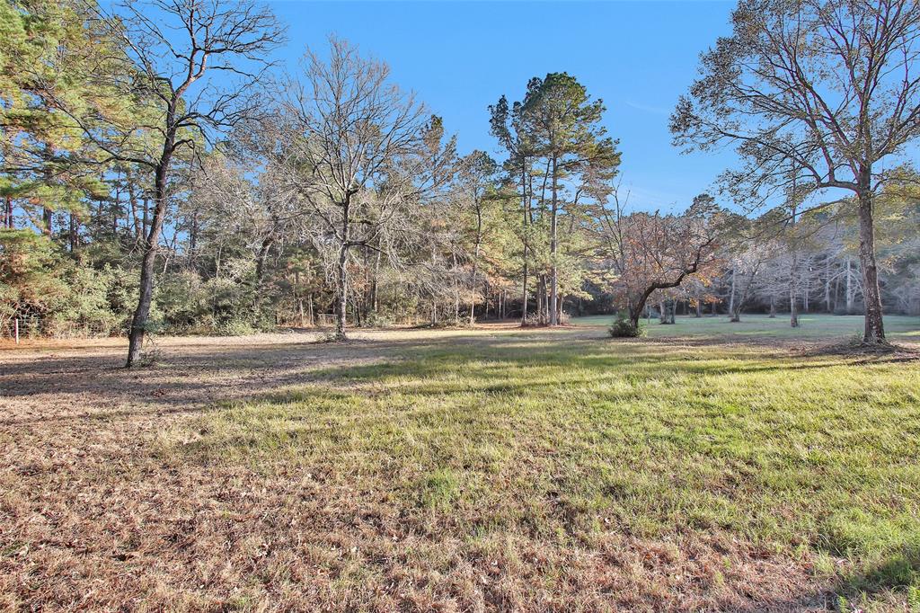 16079 W Post Oak Rd Rd, Plantersville, Texas image 34