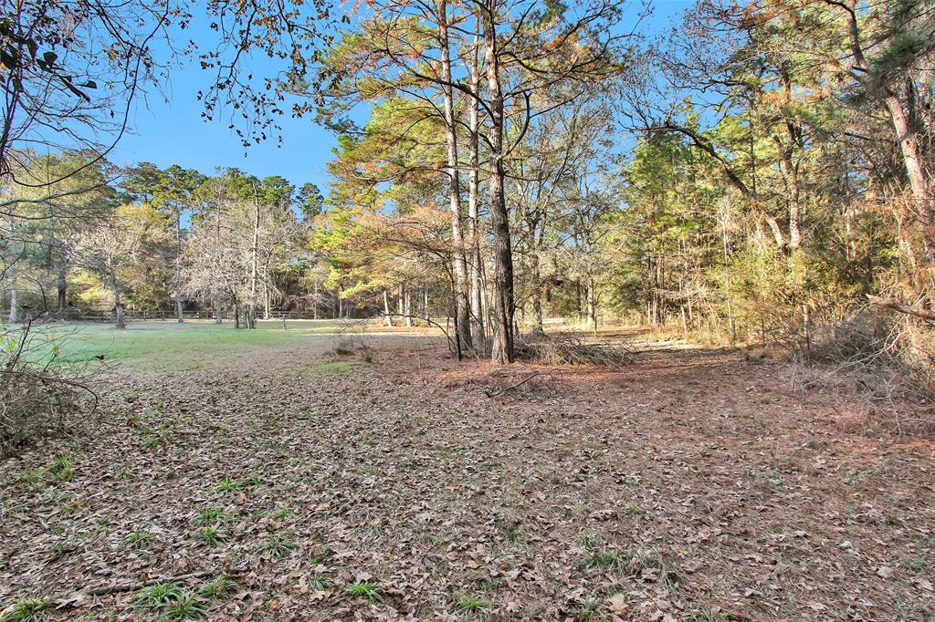 16079 W Post Oak Rd Rd, Plantersville, Texas image 31