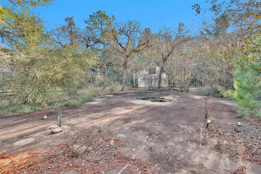 16079 W Post Oak Rd Rd, Plantersville, Texas image 16