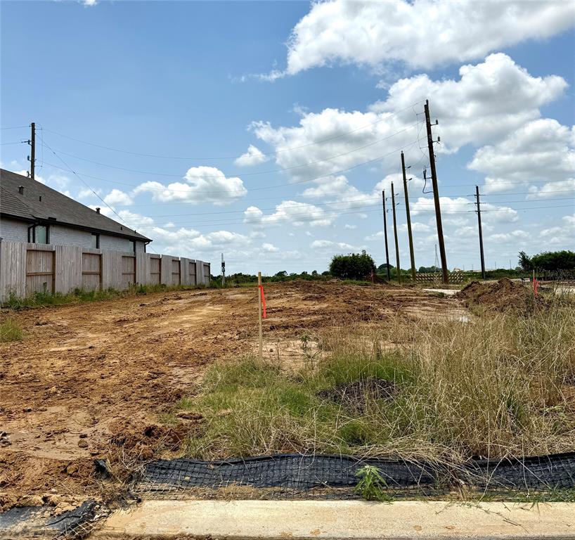 17043 Shimmer Ray Street, Hockley, Texas image 4