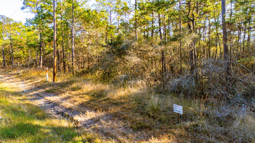 039 Magnolia Ranch Road, Onalaska, Texas image 7