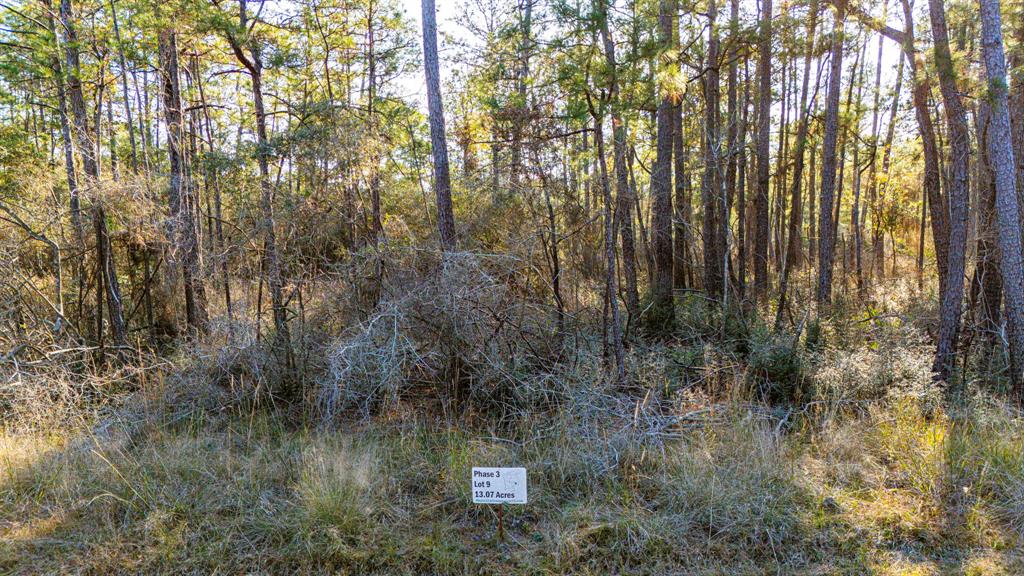 039 Magnolia Ranch Road, Onalaska, Texas image 5