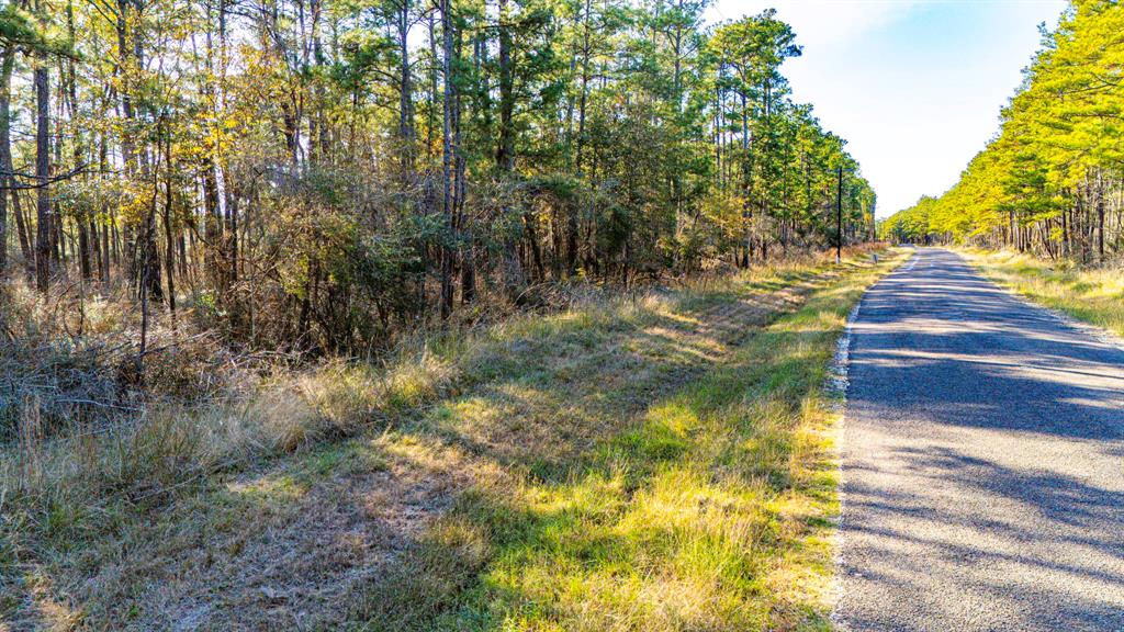 039 Magnolia Ranch Road, Onalaska, Texas image 6