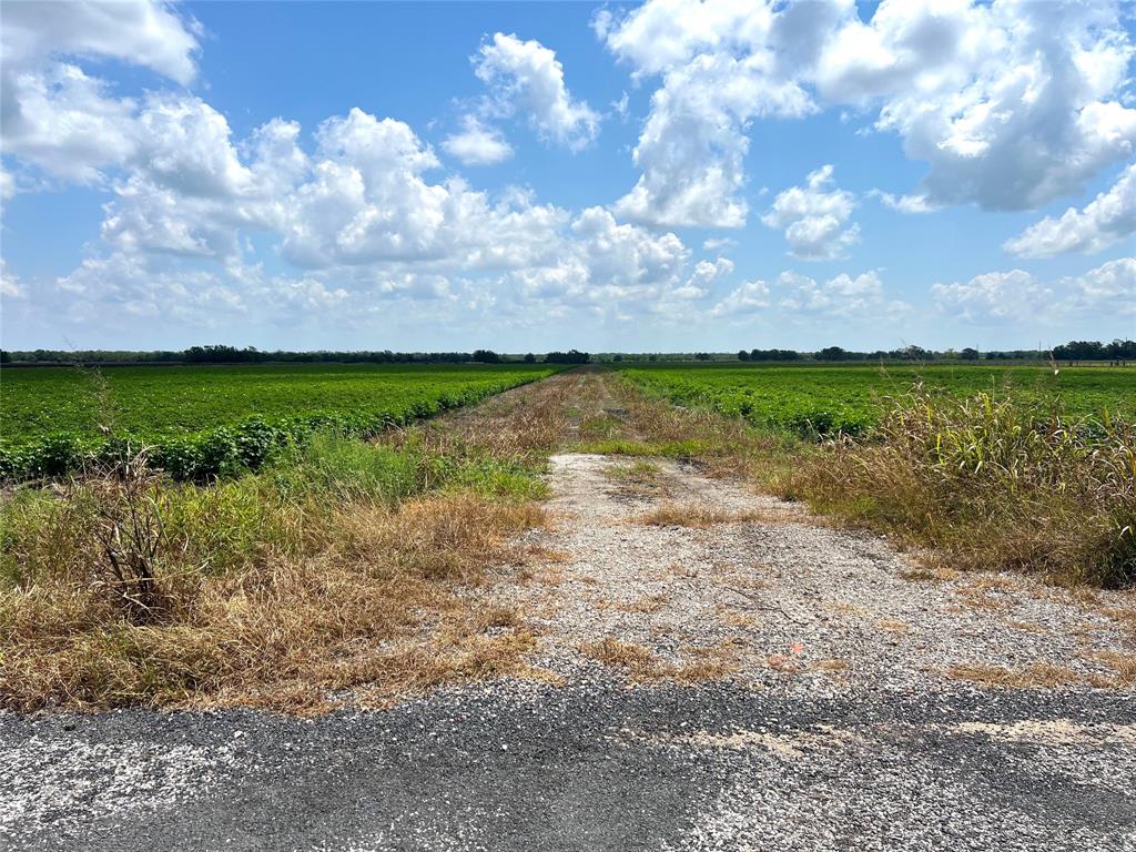 Rycade Road, Damon, Texas image 5