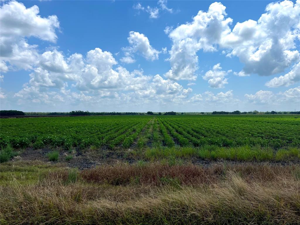 Rycade Road, Damon, Texas image 4