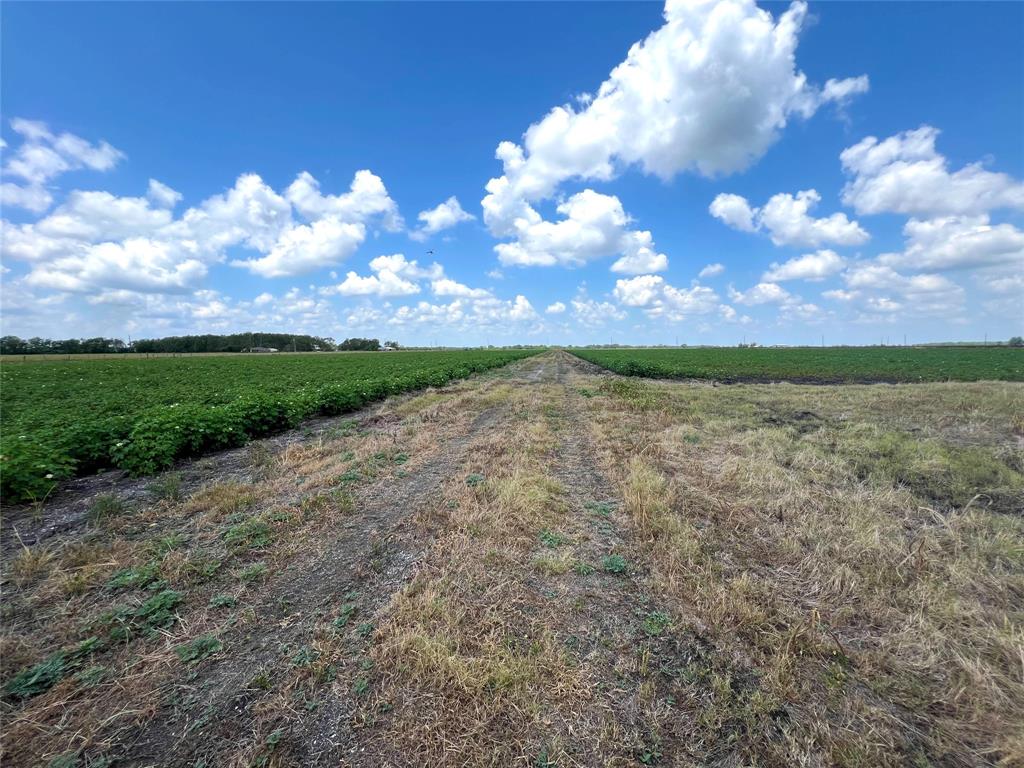 Rycade Road, Damon, Texas image 7