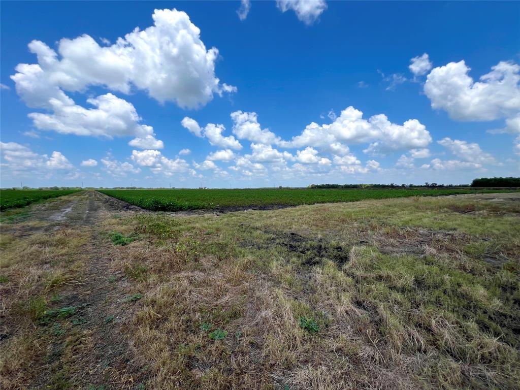 Rycade Road, Damon, Texas image 8