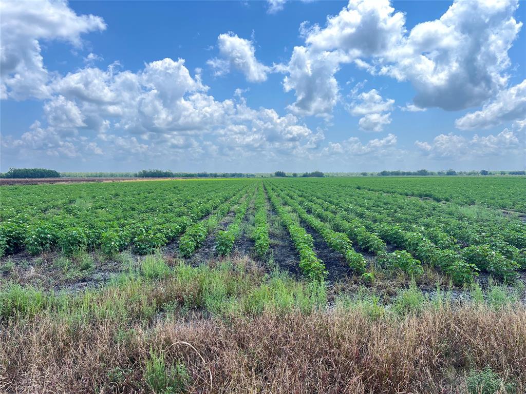 Rycade Road, Damon, Texas image 1