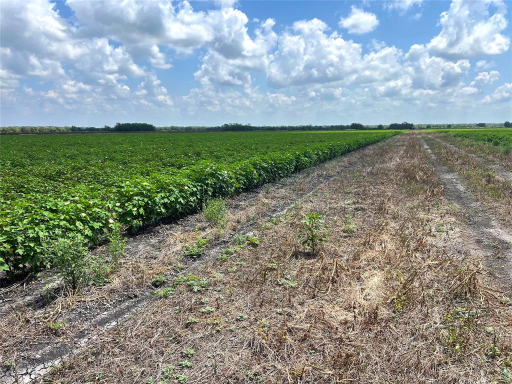 Rycade Road, Damon, Texas image 6