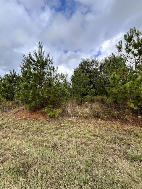 Photo of 499 County Road 5017, Cleveland, TX 77327 (MLS # 23922043)