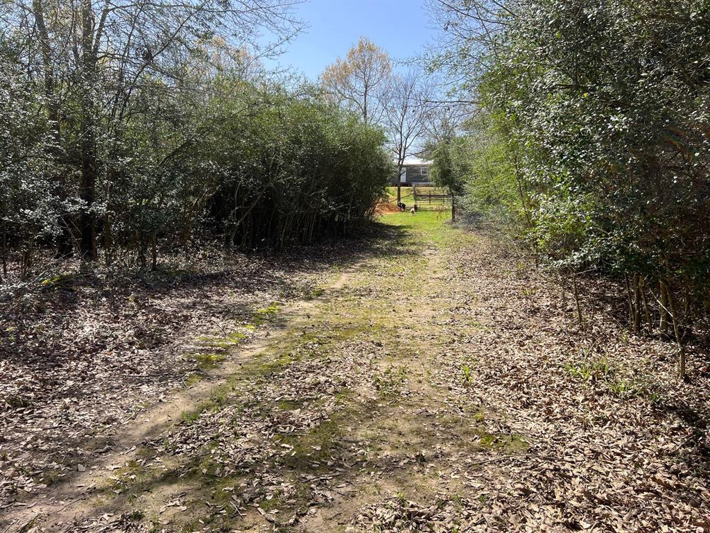 1238 Cr 2012, Centerville, Texas image 32