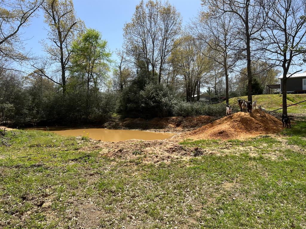 1238 Cr 2012, Centerville, Texas image 22