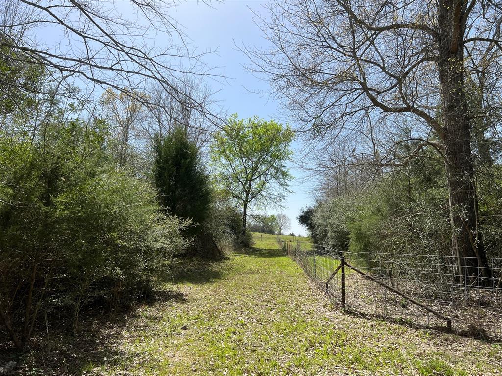 1238 Cr 2012, Centerville, Texas image 25