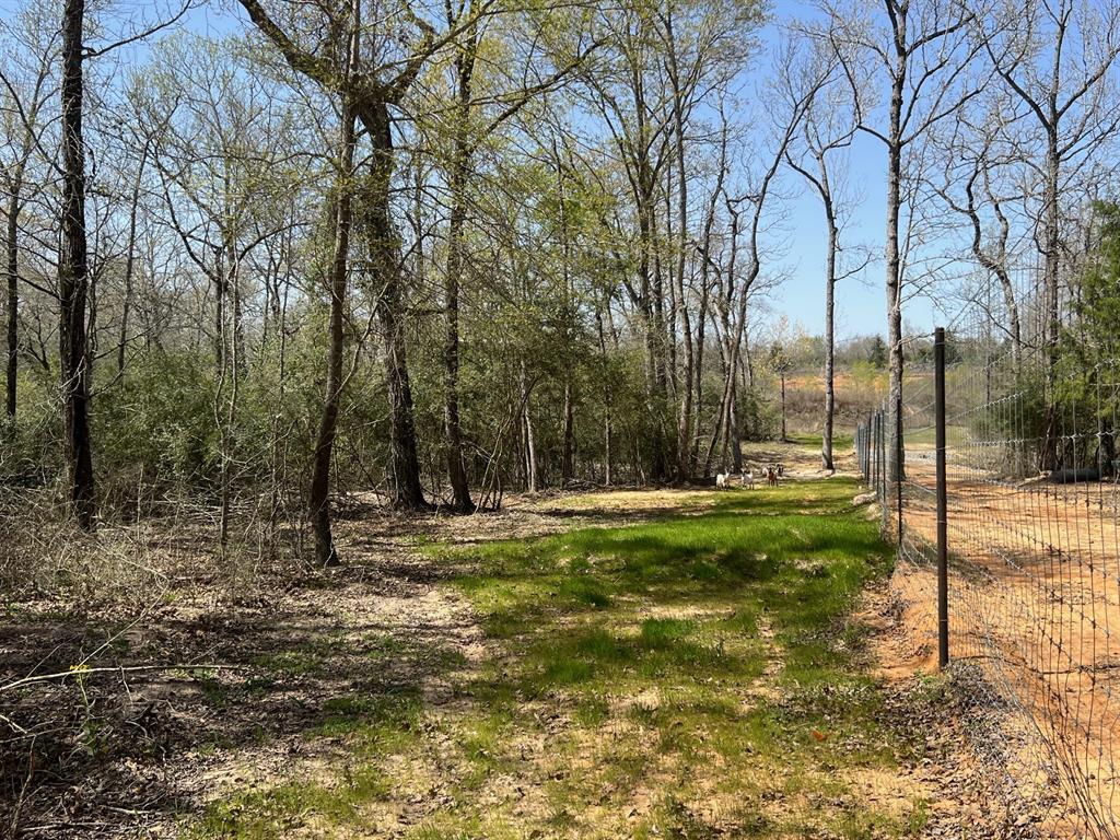 1238 Cr 2012, Centerville, Texas image 24