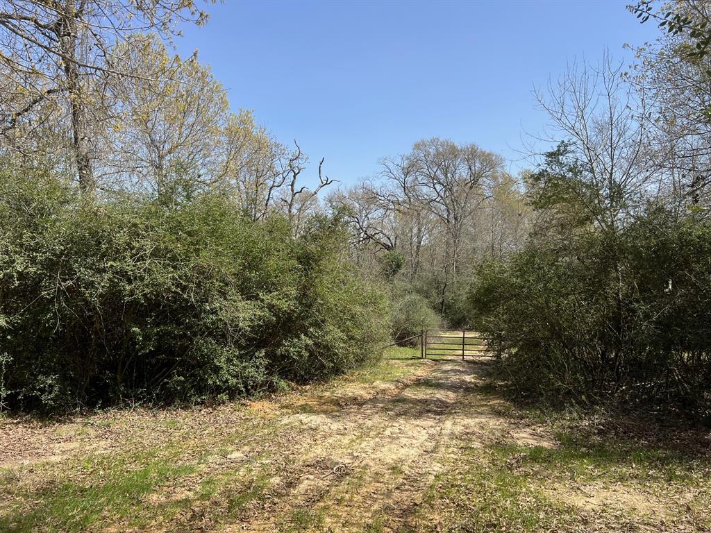 1238 Cr 2012, Centerville, Texas image 27