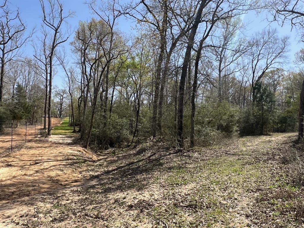 1238 Cr 2012, Centerville, Texas image 26