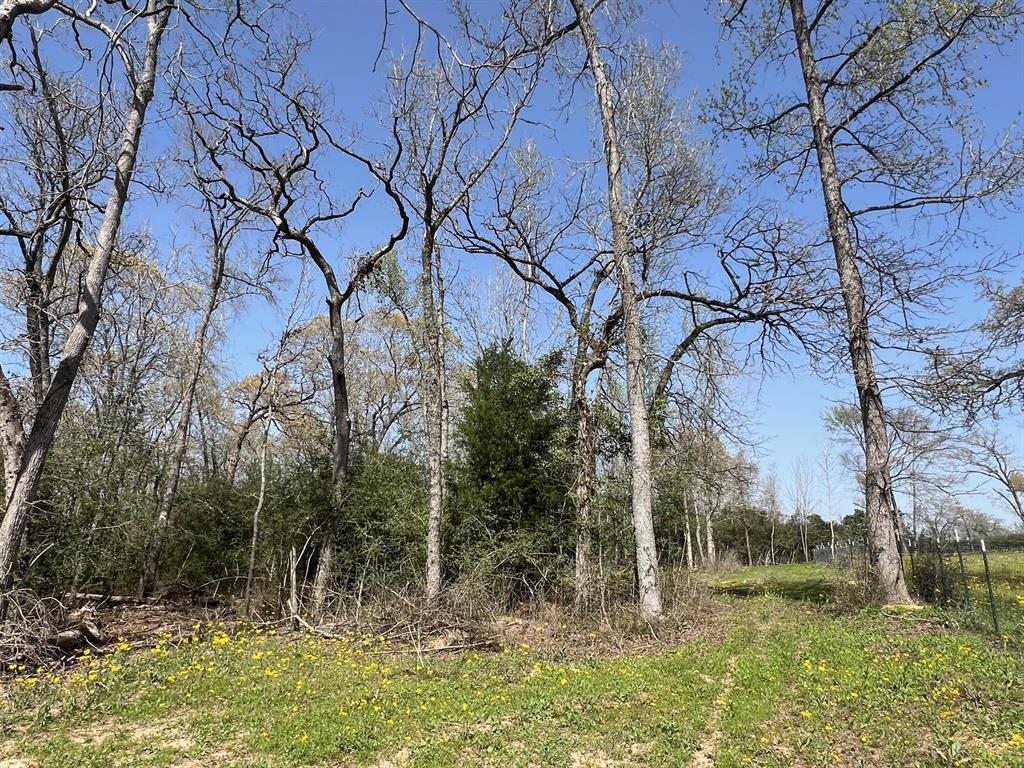 1238 Cr 2012, Centerville, Texas image 35