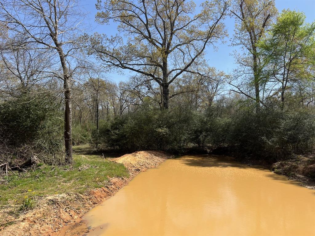 1238 Cr 2012, Centerville, Texas image 21