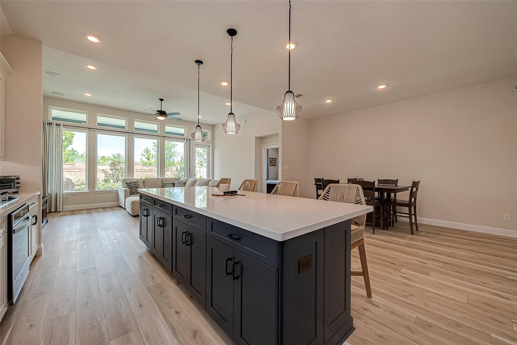 15306 Spanish Ranchos Ways, Cypress, Texas image 19