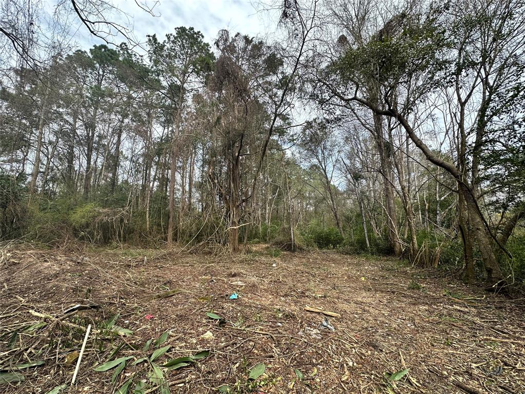 1379 Us Highway 190, Woodville, Texas image 14
